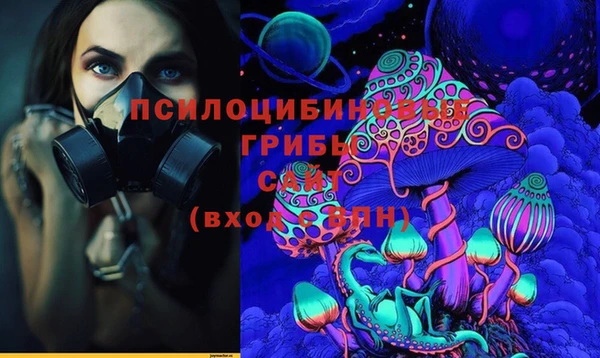 сатива Кодинск